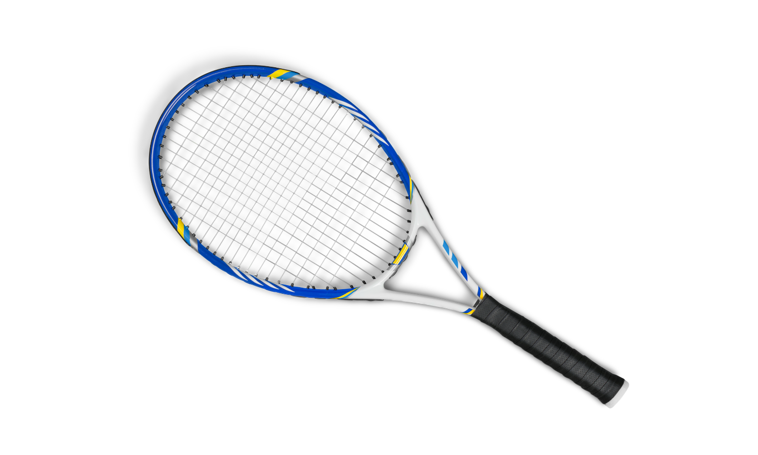 RaqetZone Racket
